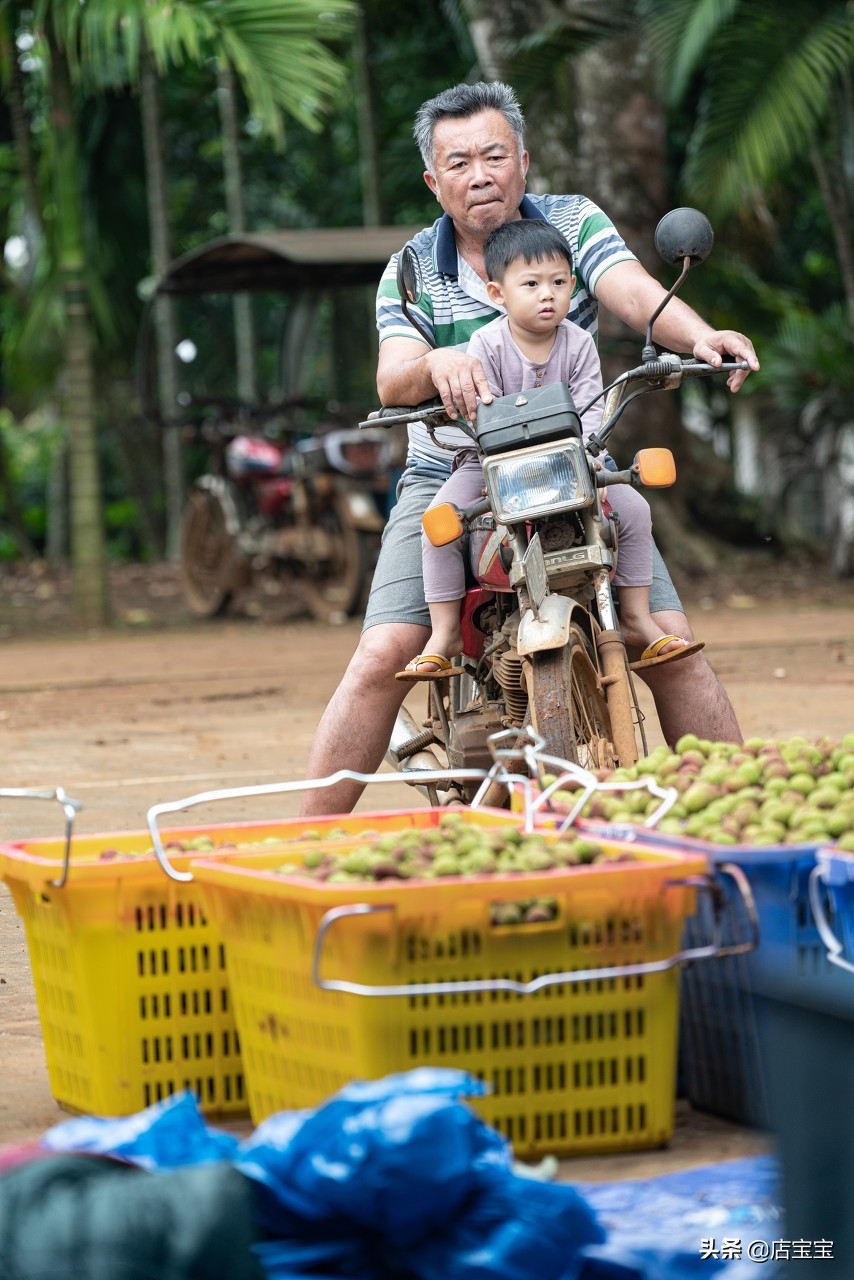 1688适合进货吗,1688精品货源免费入口