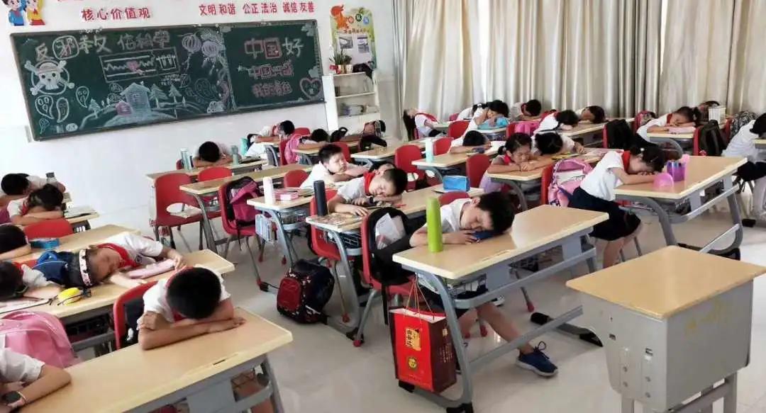 东侨：“新合”教育创新卓越——福建师范大学东侨实验小学简介