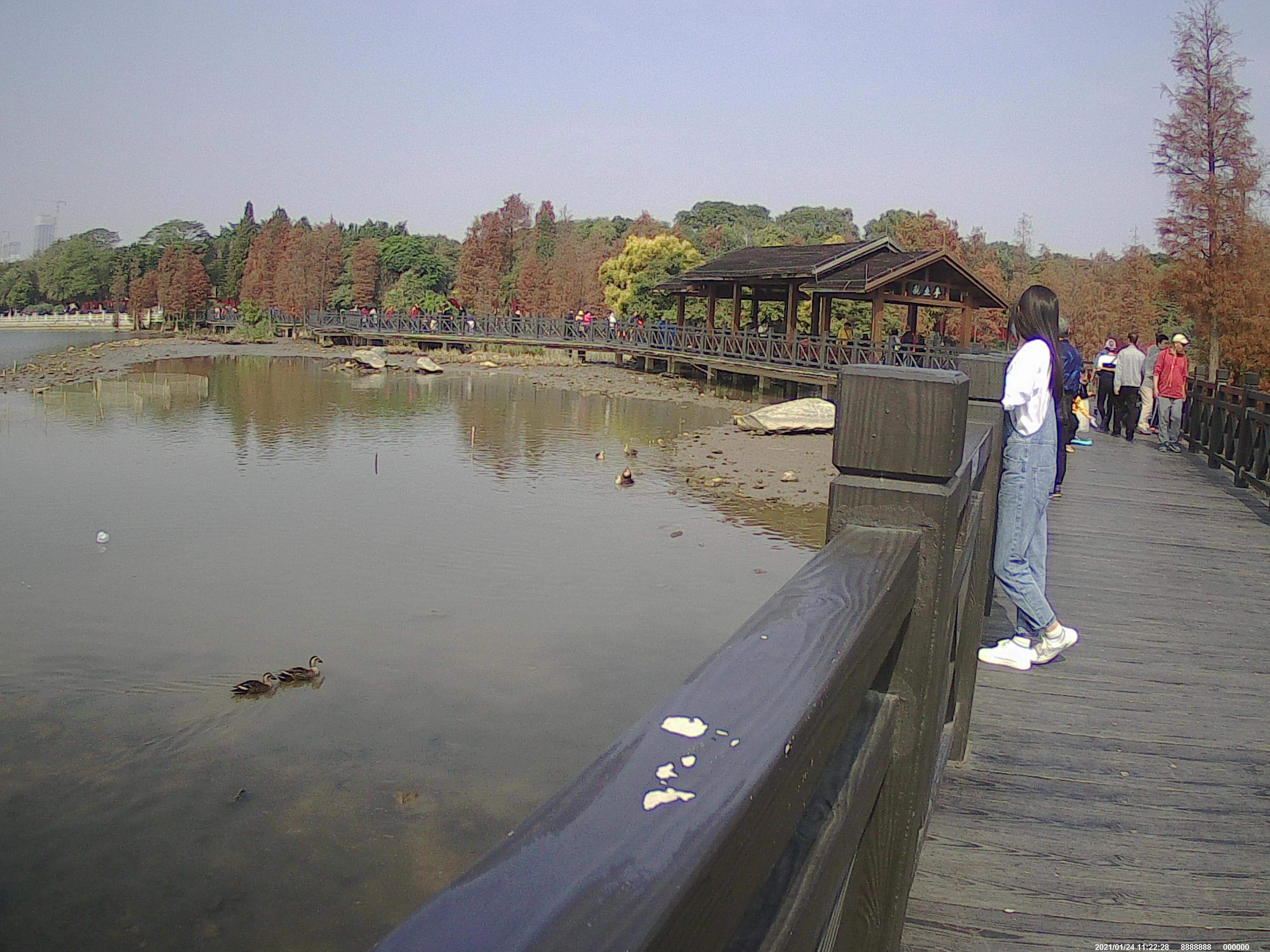 广州海珠湖,海珠湖变化