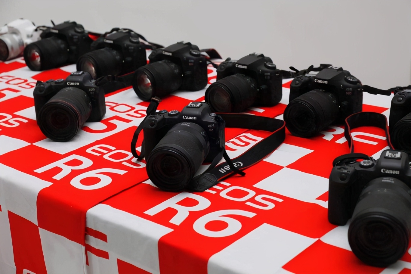 暮年逐影佳能金色盛年摄影团相聚广州