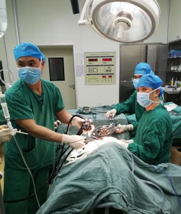 9岁男孩吞下30根牙签,19岁男孩吞下牙签