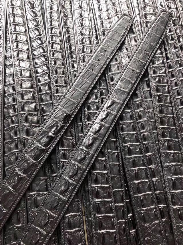 十大天价鳄鱼品种,真正的鳄鱼多少钱