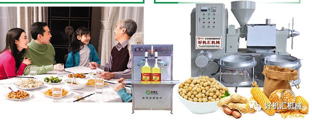 怎样从零开始创立一家公司,开个榨油厂建议