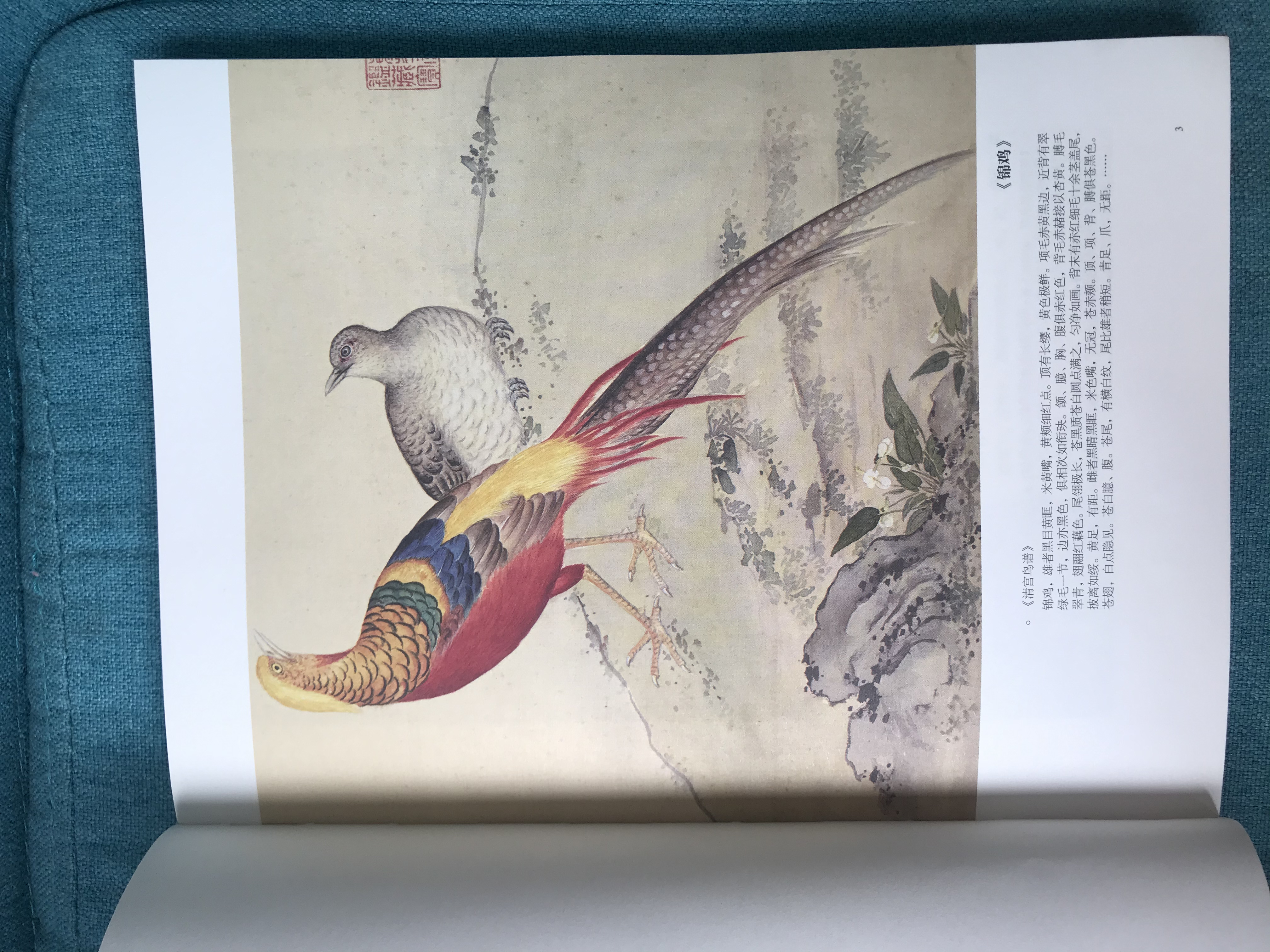 真正让曹操害怕的五位猛将将是谁,让曹操害怕的五大名将