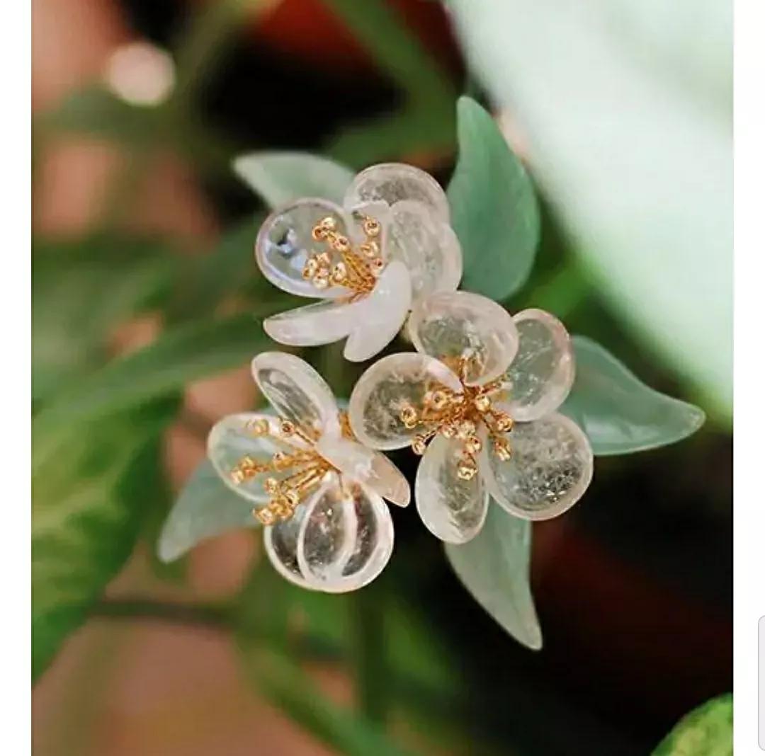 神秘变色花：一下雨就隐形又透明，芳踪难觅！和你捉迷藏的美人花