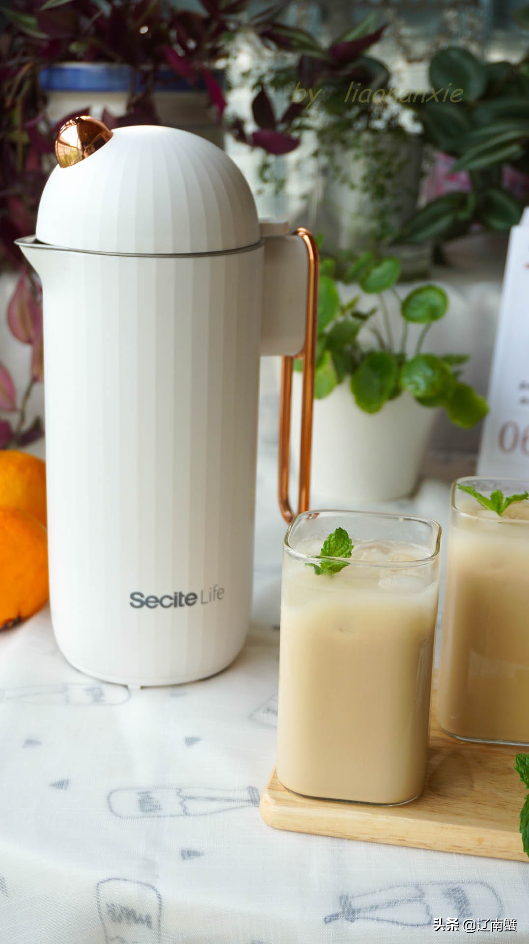 自己在家做奶茶不加糖热量高吗,蒙古奶茶怎么做才香醇浓厚