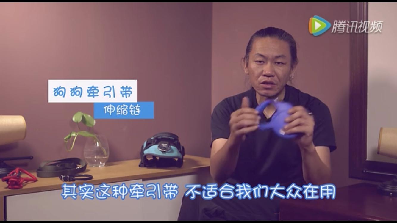 狗狗牵引带,狗狗防爆冲牵引绳怎么佩戴