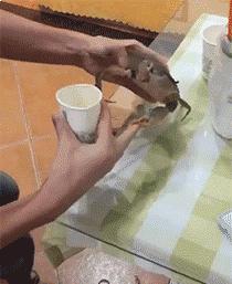 搞笑的冷笑话最好能笑死,非常搞笑的冷笑话大全