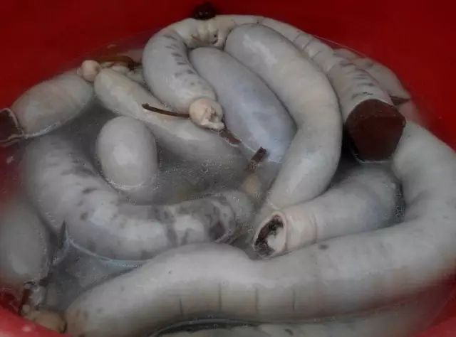 海南省临高县历史,海南临高风土人情