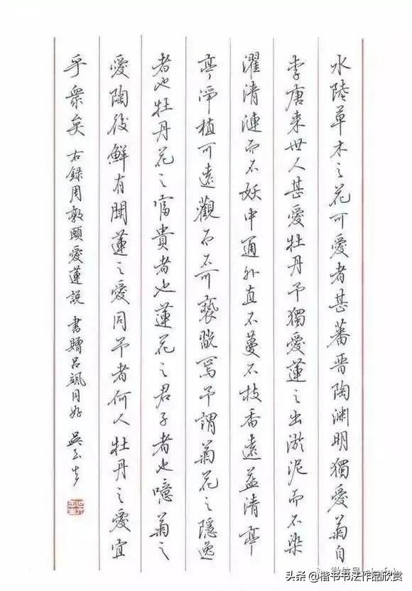 水墨君钢笔行书字帖妥的行书写法,行书书法硬笔作品欣赏大全