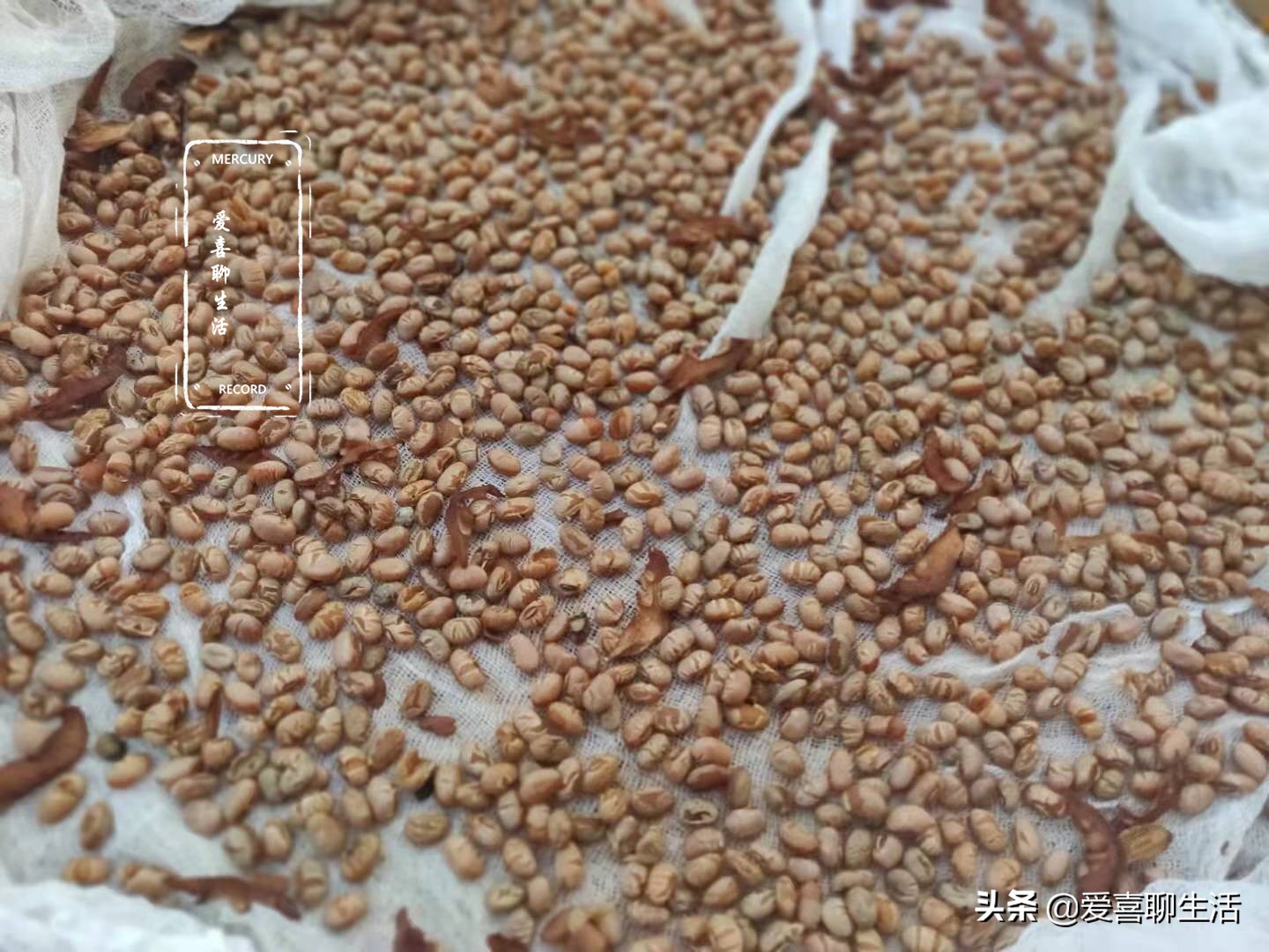 南方笋做法大全家常,小孩子喜欢吃的笋家常做法