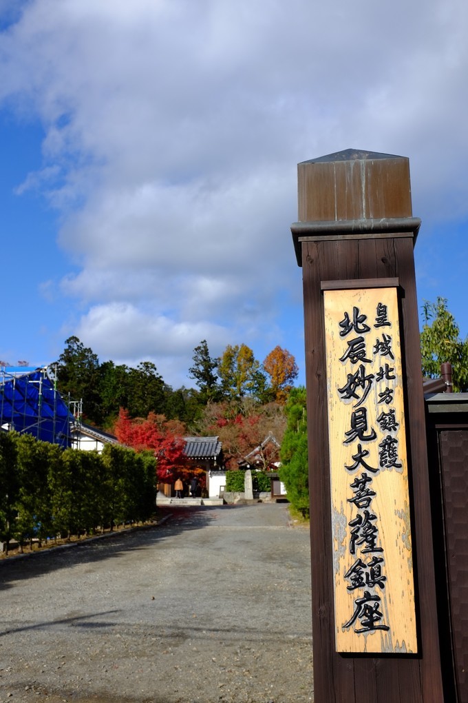 京都赏枫2022,京都赏枫必去景点有哪些好玩的