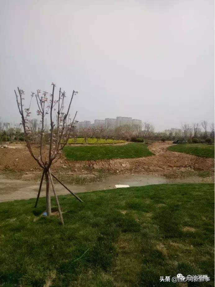 青岛城阳白沙河足球公园,白沙湾足球基地免费开放吗