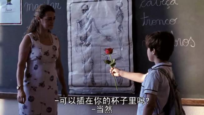 我亲爱的甜橙树梗概500字,我亲爱的甜橙树第三章故事脉络