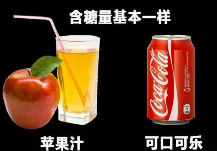 wildfieldhealth蛋白粉测评,wildfieldhealth牌子如何