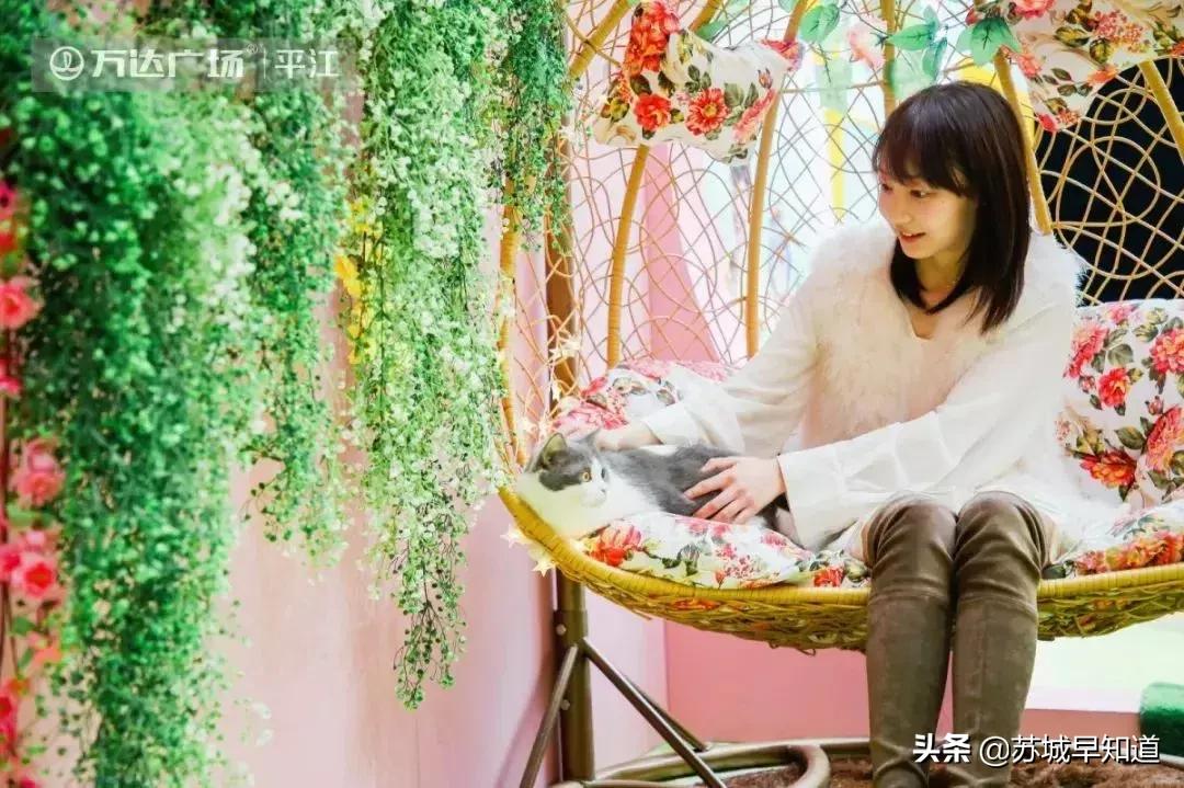 苏州平江路万达广场,苏州万达广场平江店