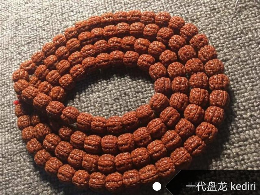 印尼金刚菩提是落地红吗,金刚菩提印尼跟尼泊尔