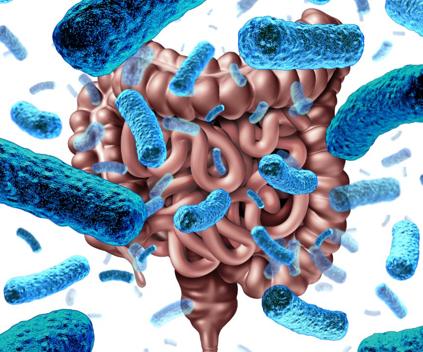 耐药基因新生儿,新生儿有多重耐药菌怎么办