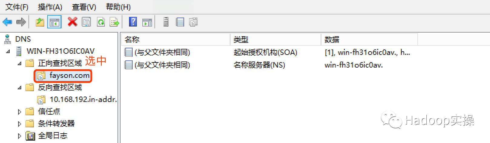 winserver2012dns服务查询,windows如何搭建虚拟dns服务器