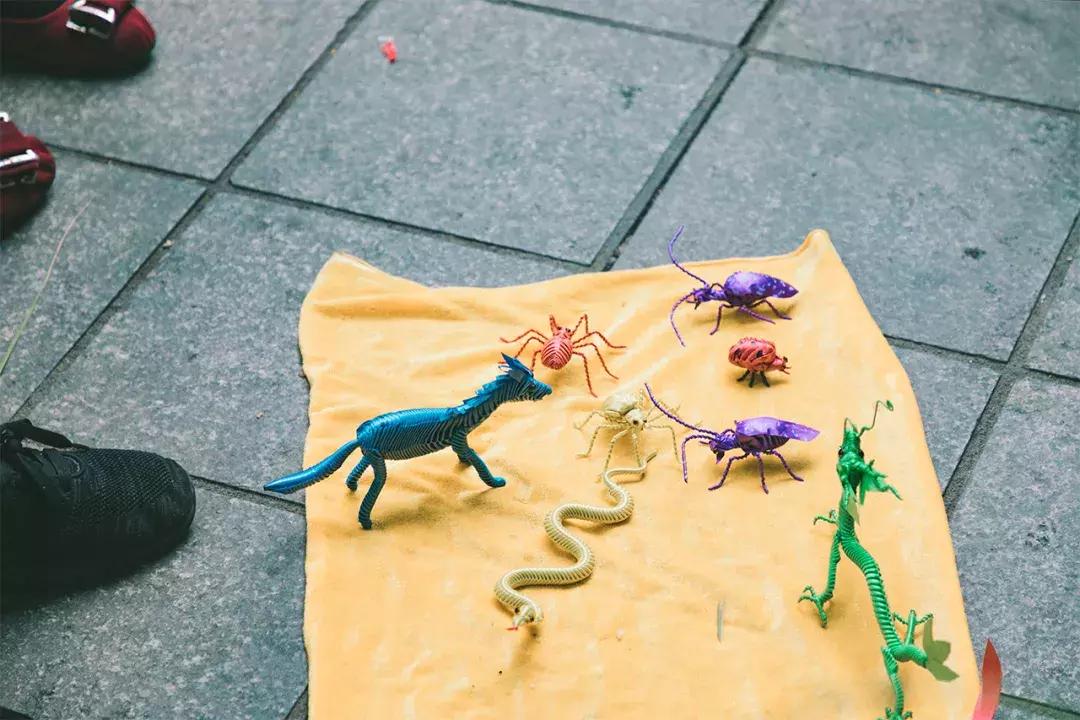 深圳这座城市很美,深圳这座城市风景太美了