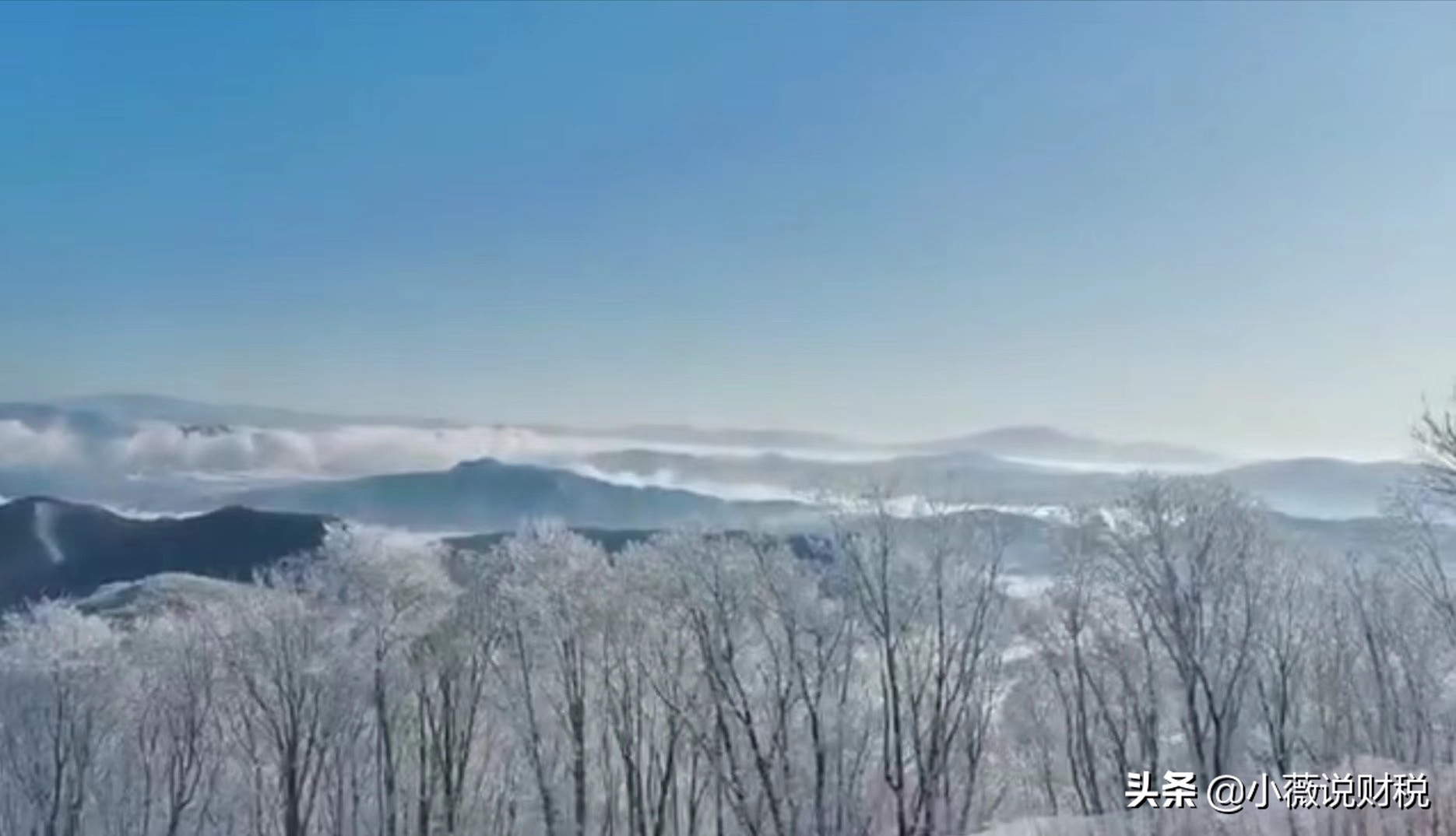 精选每周热门问答,财税实务精选答疑手册全一册