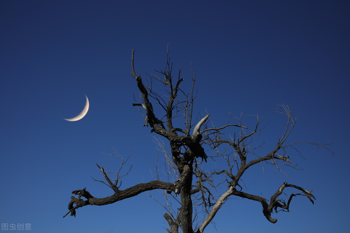 五律杜甫王维,杜甫孟浩然五律