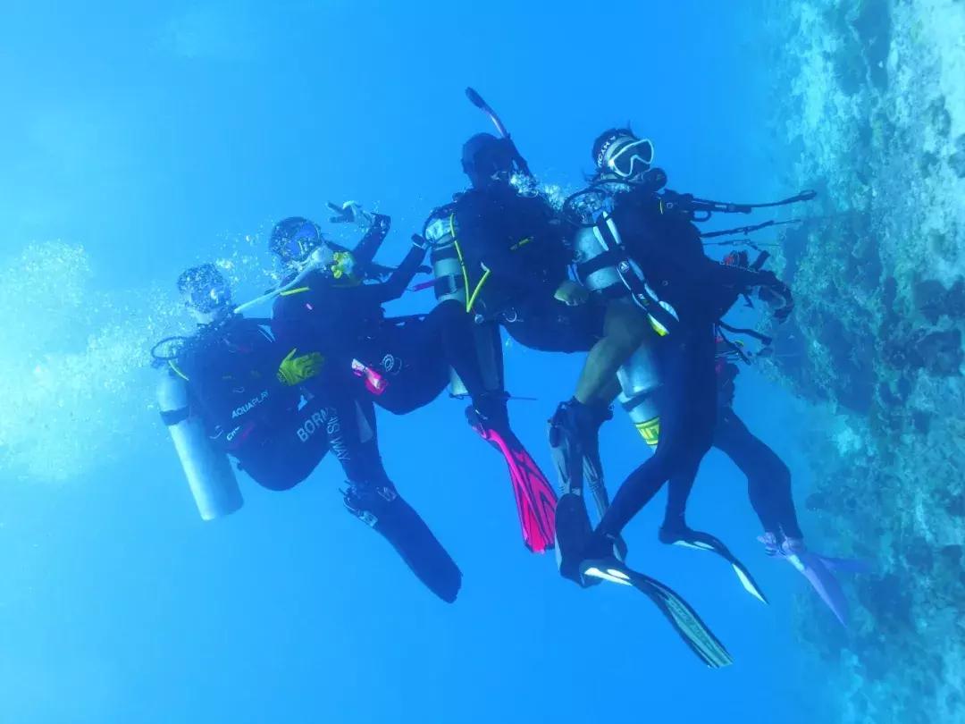 帕劳自由潜水完整视频,帕劳自由潜水玩法