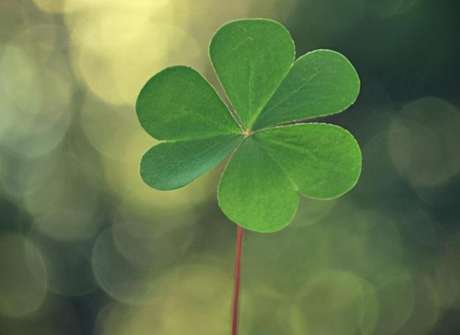 57岁退休阿姨,70岁阿姨哭诉晚年生活苦不堪言