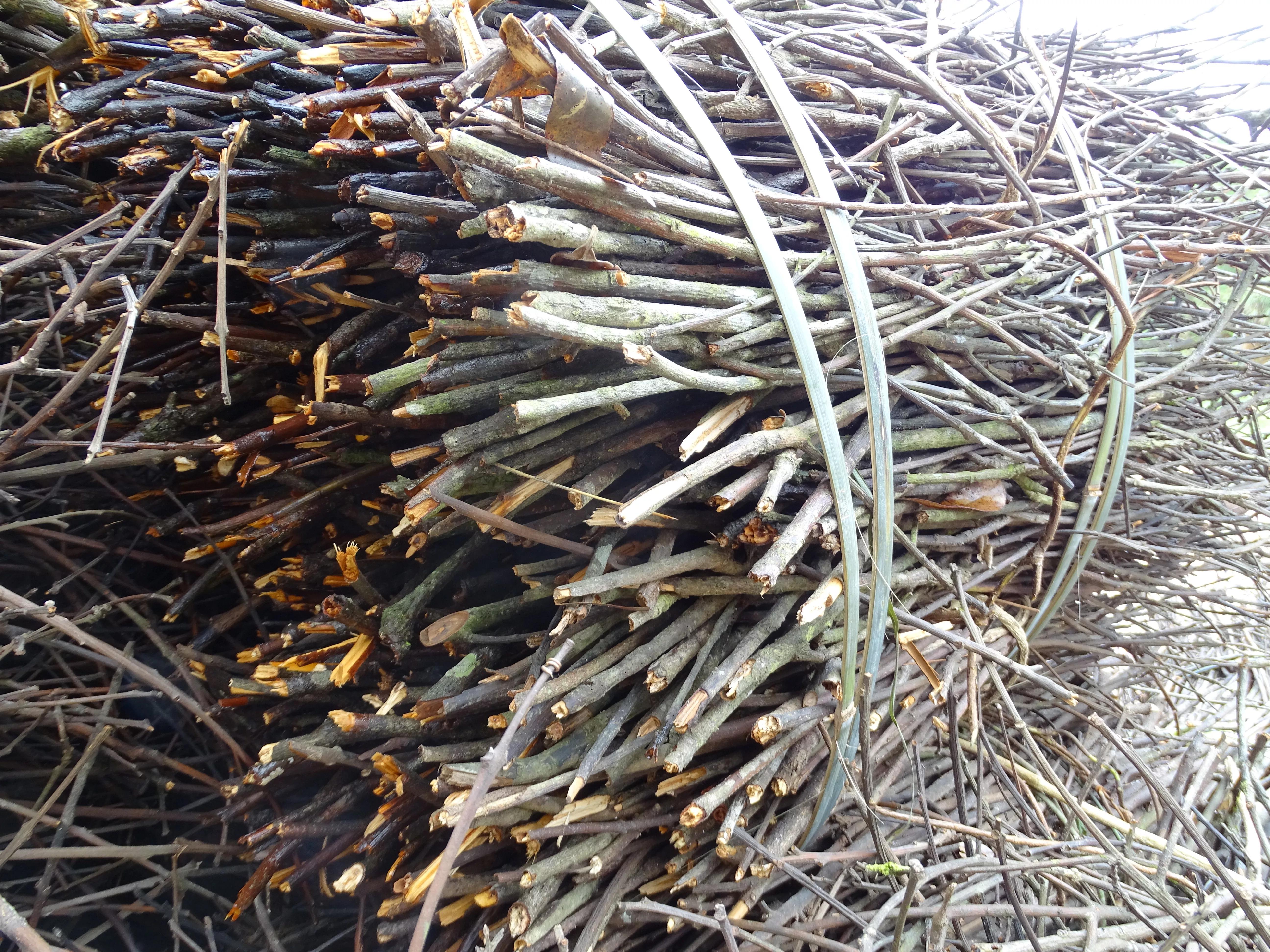 广西道地桂十味中药材是哪些,广西桂中有什么好中药