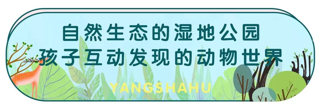 洋沙湖研学基地在哪里,洋沙湖岳阳研学