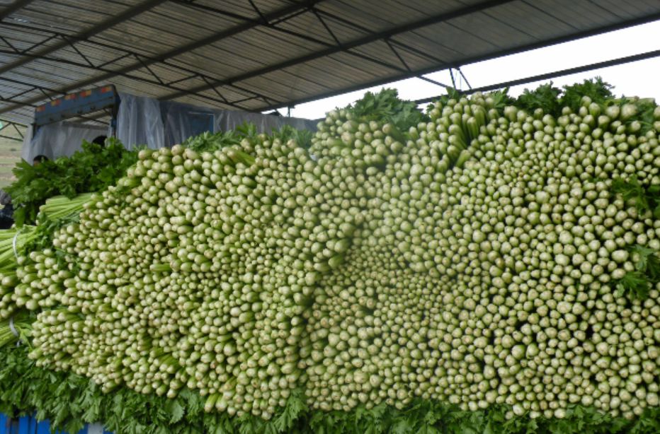 宁夏喜欢吃羊肉,宁夏吃羊肉喝什么