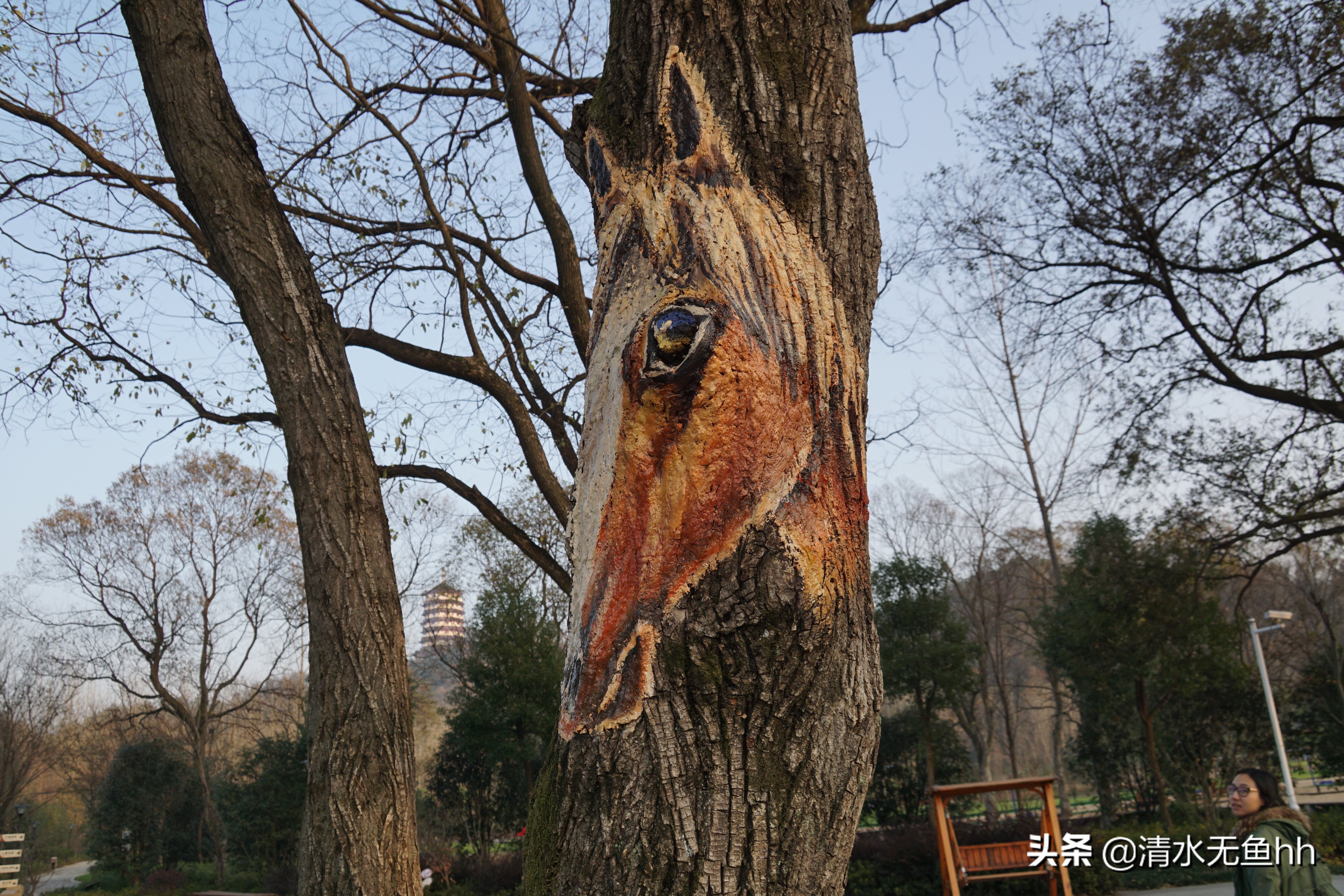 大别山游历,大别山之旅视频