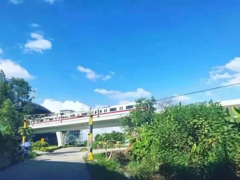 干货丨在广州来这拍照就对啦,制霸朋友圈从今天开始