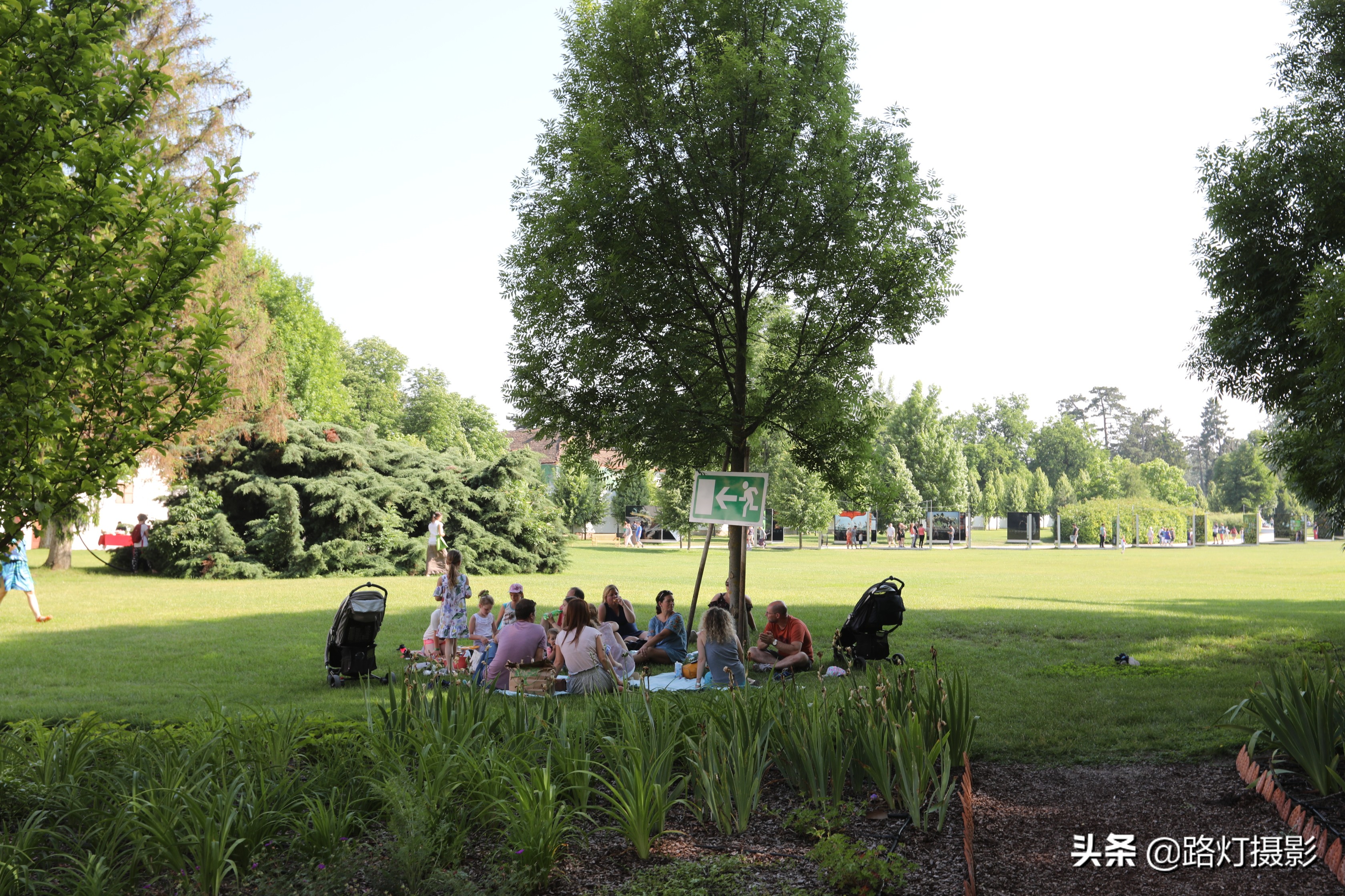 国外有没有禁止踩踏草坪,为什么国外草坪可以随便踩