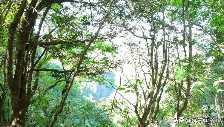 汉中圈子崖天坑,汉中镇巴圈子崖天坑旅游攻略