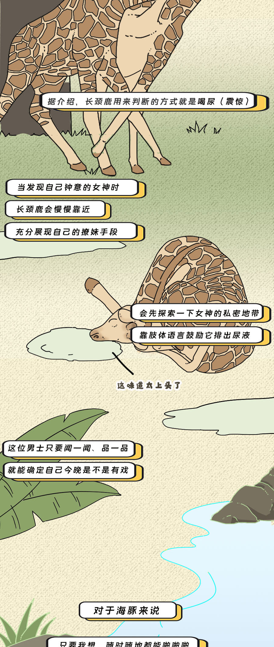 论啪啪啪,人类可比不上它们……