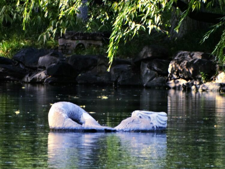 漫步北大校园,北大印象图片