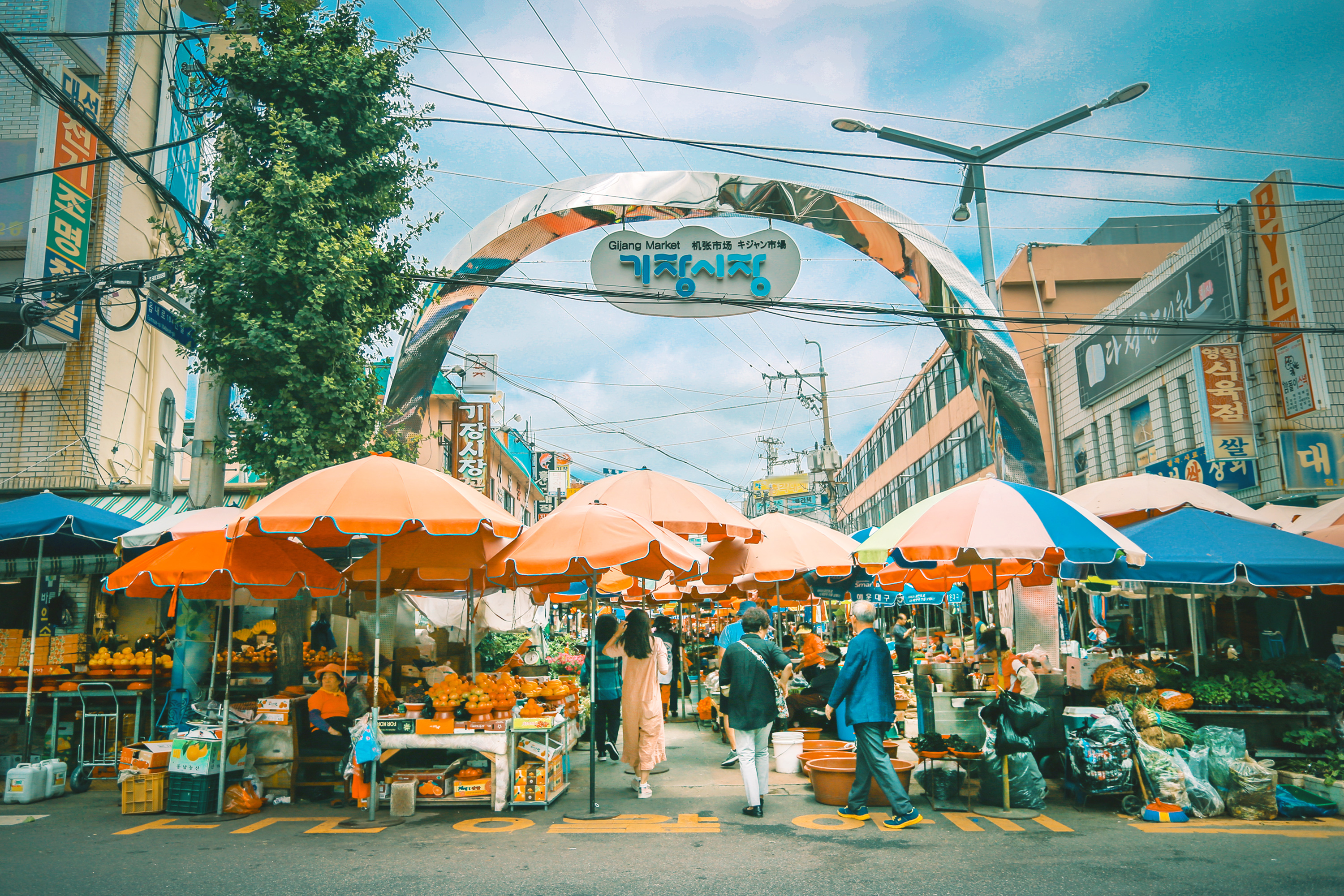 韩国旅行团最喜欢去中国哪里,韩国首尔代购必须去的地方