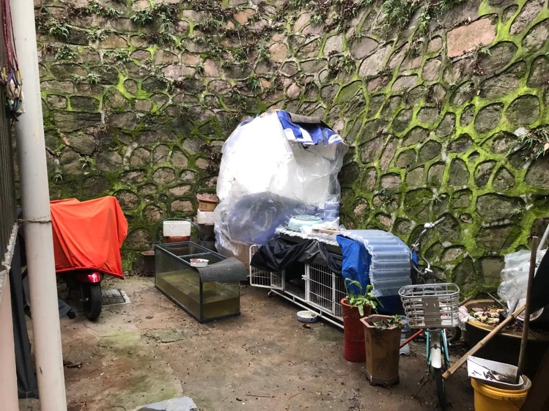 南医大奸杀案嫌犯身份曝光，名下曾有公司