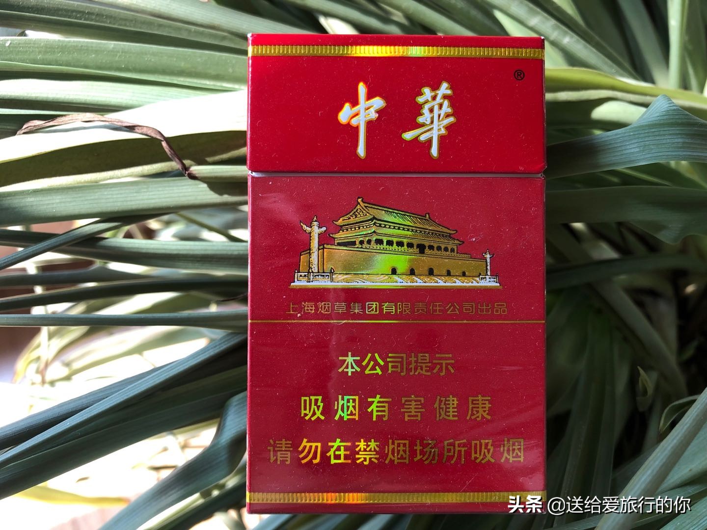 一支香烟飘在空中,一支烟去环游世界