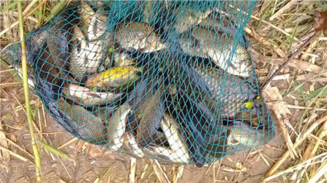 钓鱼人钓的是什么,钓鱼人就是这样收获满满