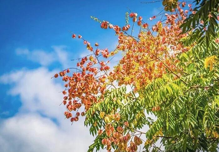 绉嬫棩绗旇鐩存挱,绉嬫棩绗旇