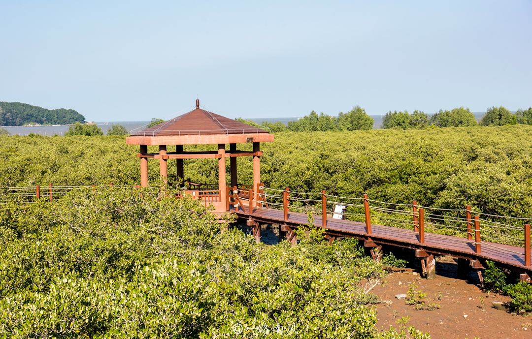 海陵岛是中国十大美岛吗,海陵岛中国十大最美海岛