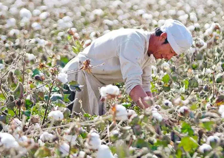 一双袜也能变出惊喜,一双袜子也能变出惊喜