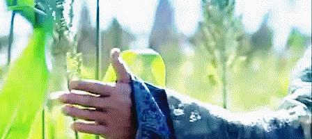 窝家里舔屏“一顾惜朝误终身,不顾惜朝终身误”