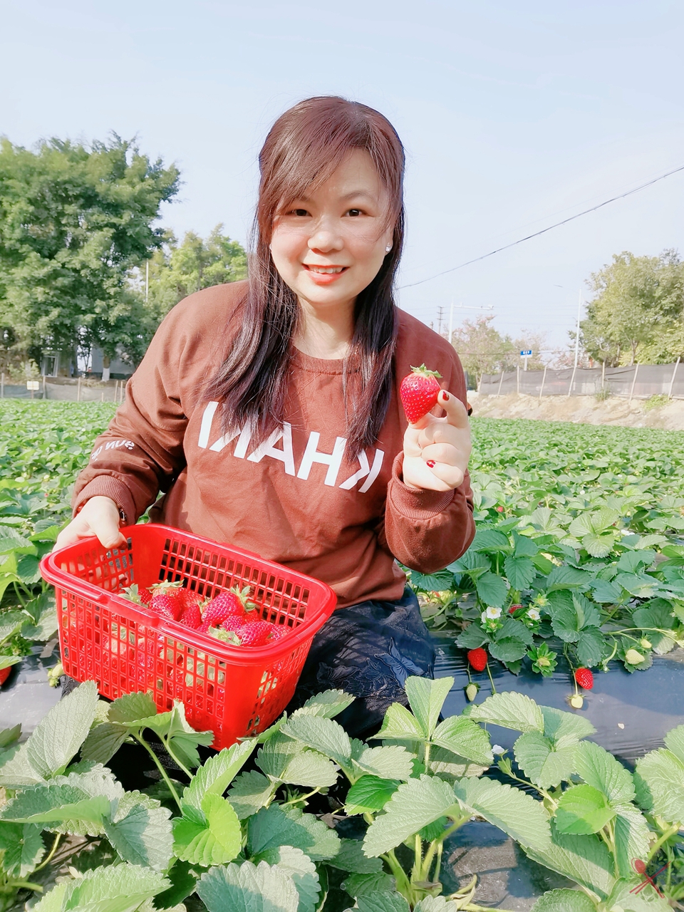 广东人过年必吃的青菜,广东人年夜饭必有的一道菜