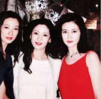 向太4亿戒指,众多明星对向太的评价