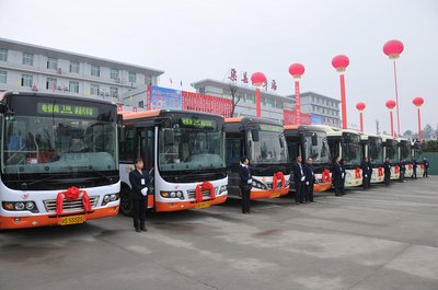 c1驾驶证上照片的要求,c1驾驶证上的照片有什么要求