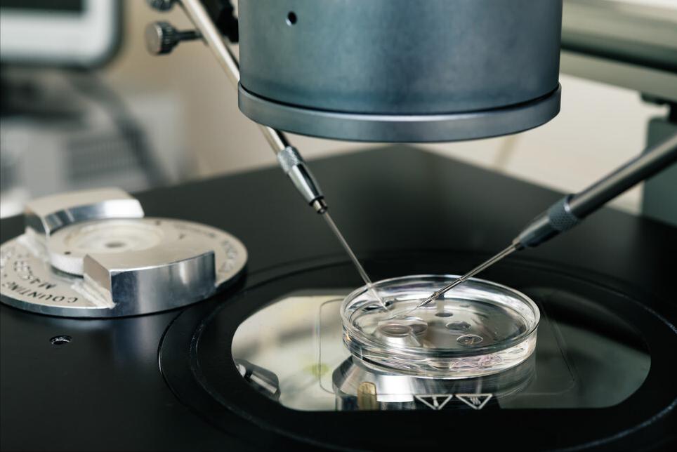 每个医院试管成功率由谁统计的,试管婴儿成功率视频