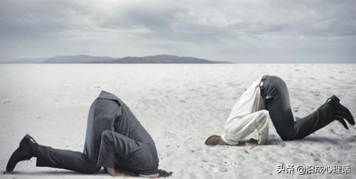 飞蛾投火对凤凰涅槃